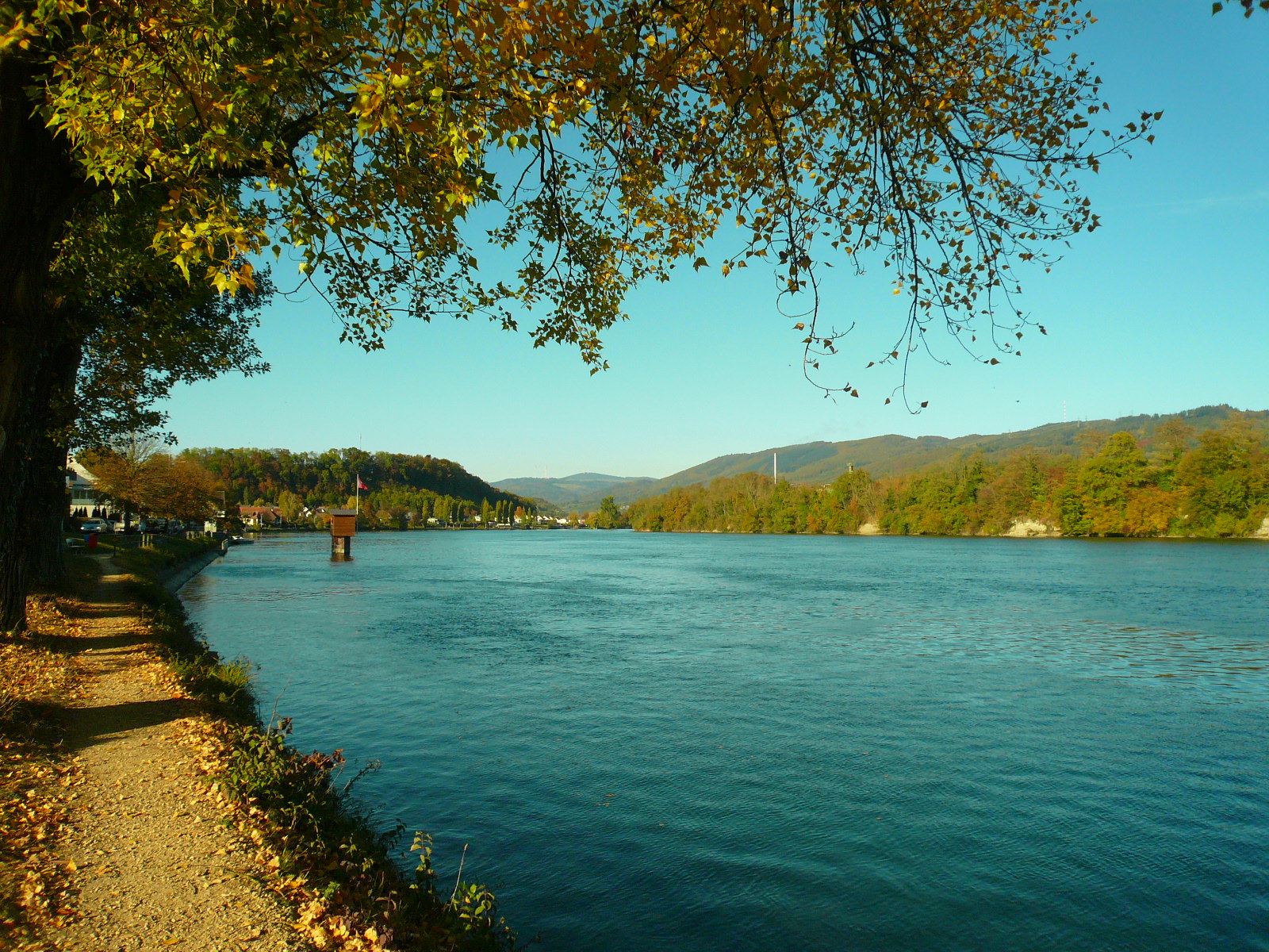 Rheinufer bei Wallbach AG
